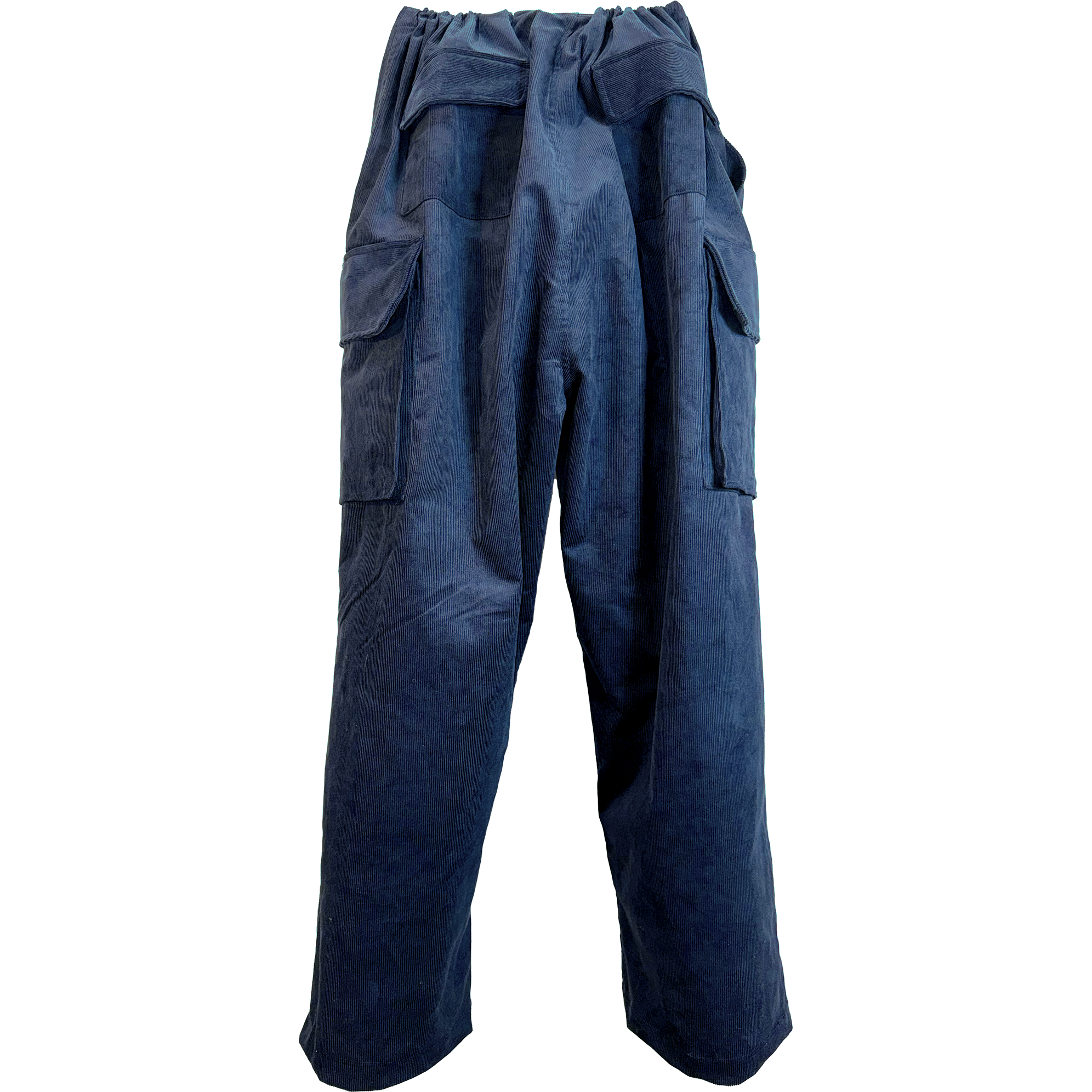 Blue cargo pants on a white background.