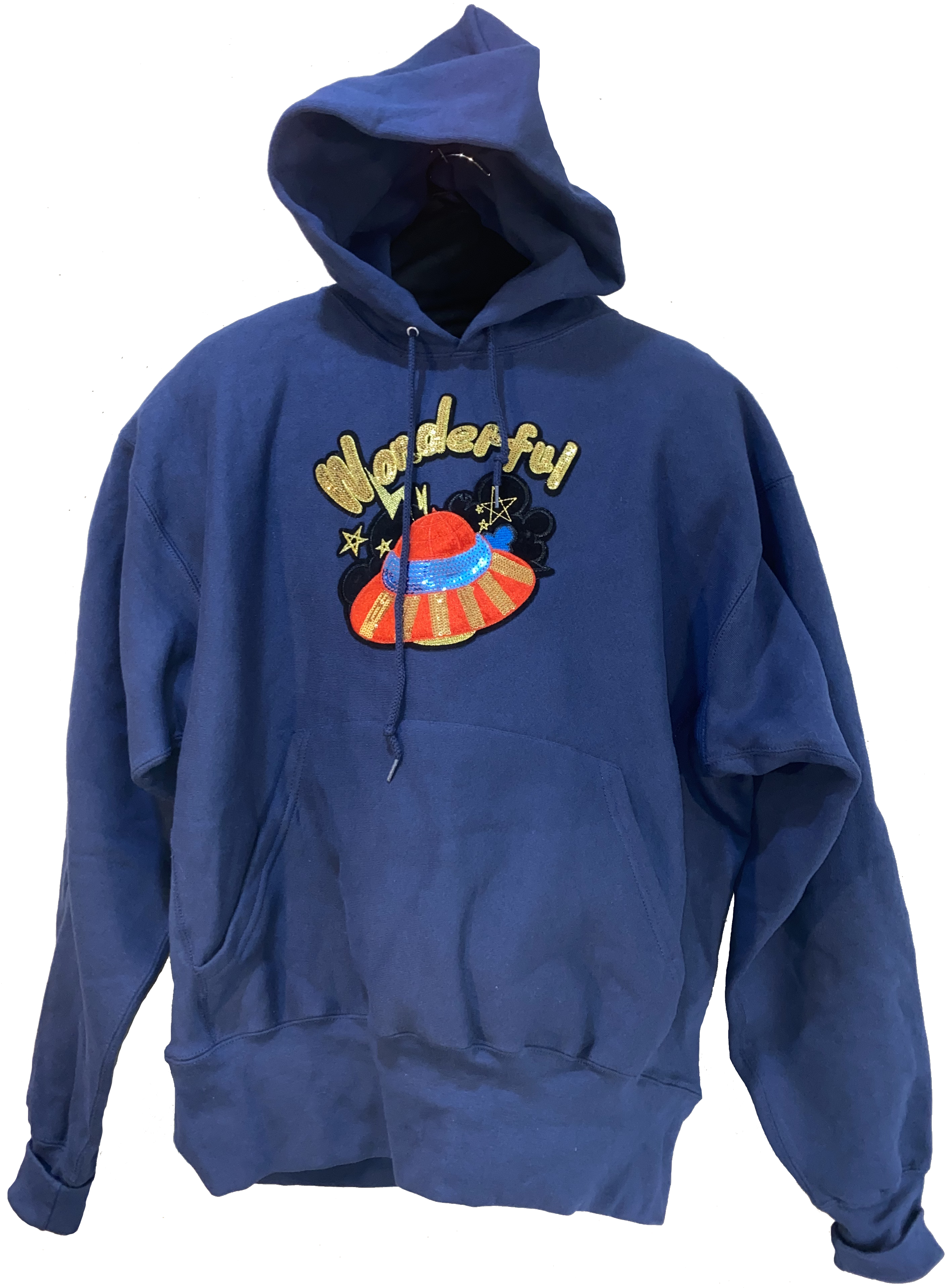 Wonderful Blue Hoodie